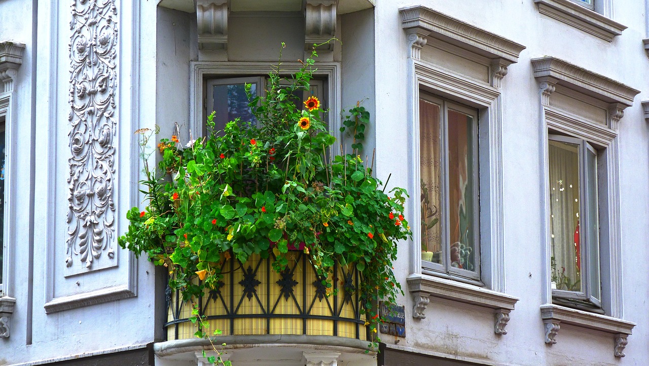 rośliny na gorący balkon