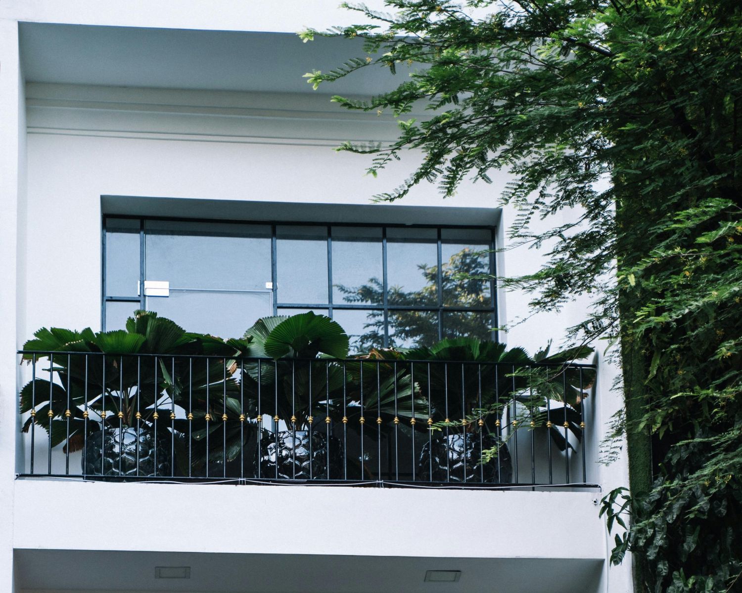 jakie kwiaty na balkon w pełnym słońcu