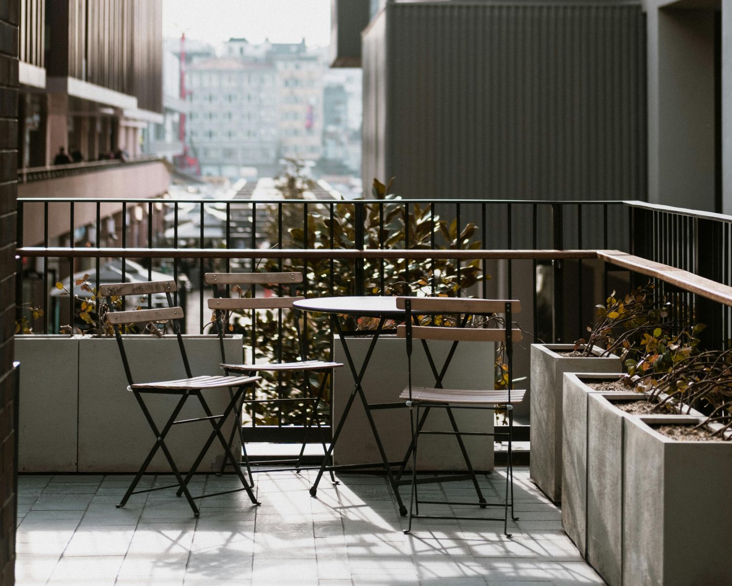  kwiaty na balkon południowy zdjęcia