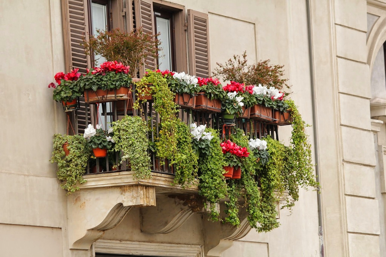 pachnące kwiaty na słoneczny balkon